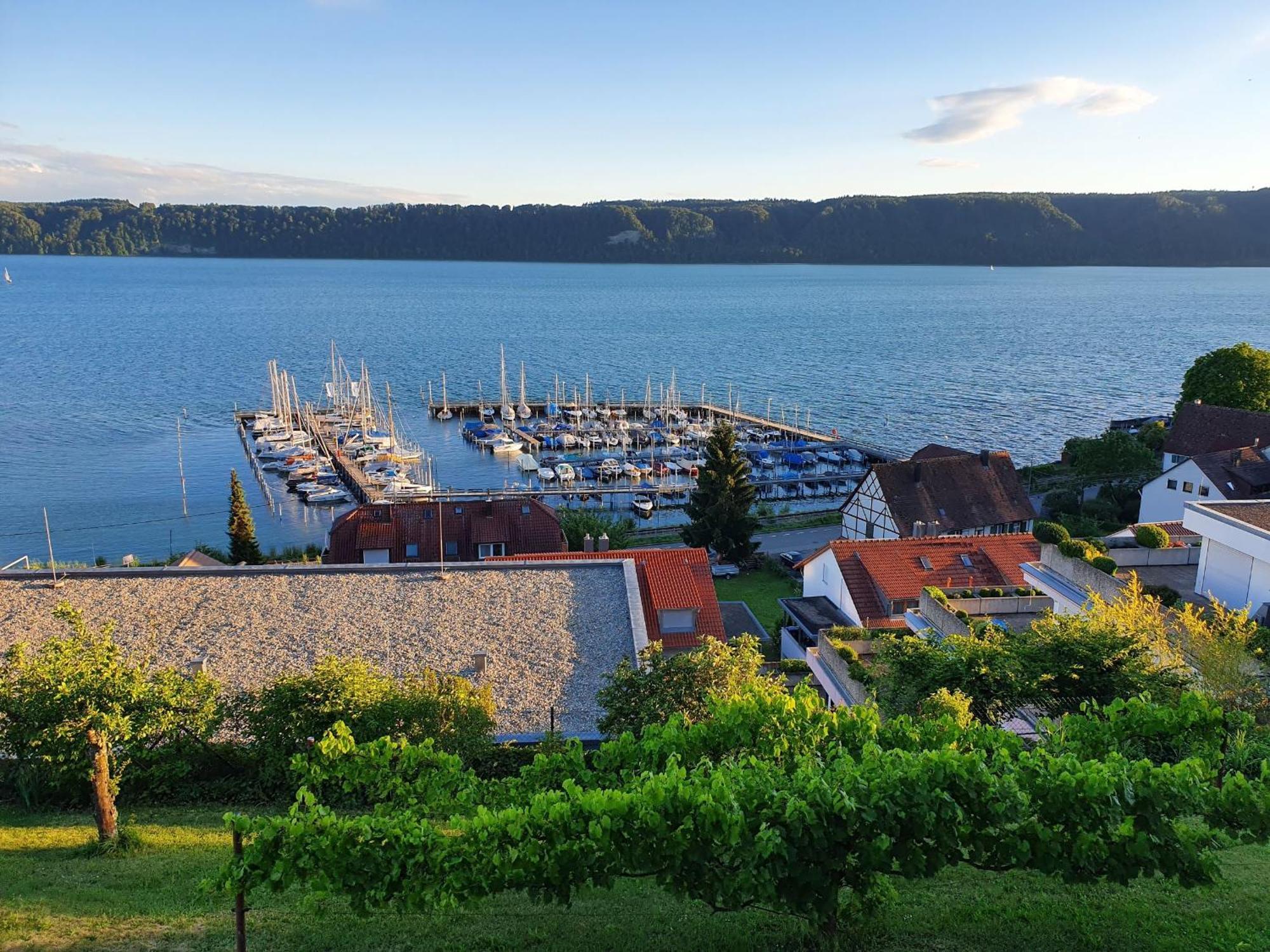 Ferienwohnung Panorama-Seetraum Sipplingen Dış mekan fotoğraf